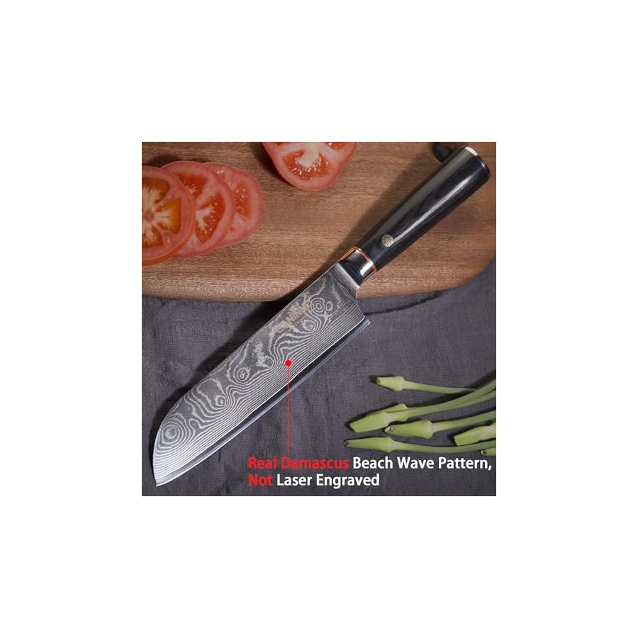 EANINNO Japan Santoku Damascus Japanese Chef Knife 7 inch, VG-10 Damascus Steel 67 Layer Kitchen Cutting Knife, Asian Chef's Knife for Meat Vegetable Wood Handle