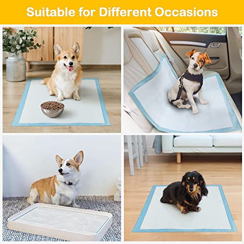 Sted Puppy Pads Dog Pee Pads 23"X23", Puppy Pee Pads For Dogs, 6 Layers Thicker Dog Pee Pads , Quickly Absorbs & Leak-Proof Dog Pads, Disposable Potty Pads For Dogs Cats, Doggie Pee Pads, 30Ct #TOP5