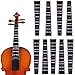 Yuemuop 10 Pièces Autocollant de Touche de Violon, 4/4 Étiquettes De Violon Marqueur, Marqueur de Touche de Violon Colorés pour Débutants Pratique du Violon Accessoires pour Débutants