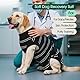 Kuoser Hundebody Nach Op, Hundebody Nach Kastration Rüde, Hundebody Nach Op Hündin,Atmungsaktive Body Hund Katzenbody Nach Op,Anti-Wundlecken Anzug Hund,E-Halsband Alternative Nach Hund Body Operation