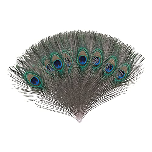 Trimming Shop Pluma de pavo real de colores con cola de pájaro natural para la boda decoración de la pieza central de la fiesta de navidad, diy arte y craft Conjunto de 10 Azul Cover