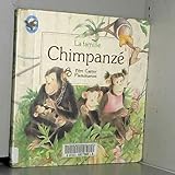 Famille chimpanze - a.telier, solvej crevelier (La): BEBE CASTOR