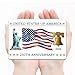 250th Anniversary Commemorative Fridge Magnet - United States of America 250 Years Statue of Liberty, 3.5x5 Inch Porcelain White Acrylic, Patriotic Keepsake Gift for 1776-2026 Semiquincentennial