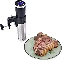 Termocirculador Sous Vide SV95 1200W – Portátil, Cozimento Preciso, Temperatura 5 °C a 95 °C