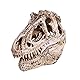 VOANZO Einzelne Harz-Replik eines Dinosaurier-Zahnschädels, Fossil-Fotografie-Requisite, Lehrmittel, Heimdekoration, Braun