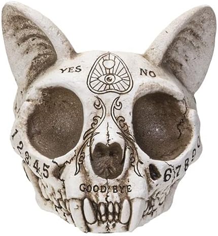 Pacific Giftware Cenicero de calavera de gato completo de taxidermia sintética con detalles tallados de Ouija de 3.5 pulgadas de alto