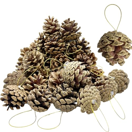 24 Pcs Christmas Natural Pine Cones, Rustic Pinecones Bulk Ornaments with String for Crafting for Home Accent Decor, Fall Thanksgiving Tree Decoration (4-6cm)