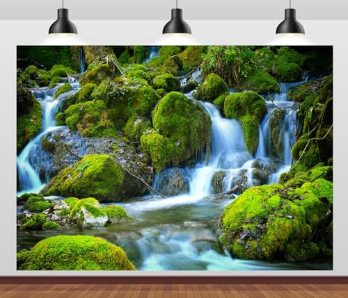 Arrière-plan photographique cascade ruisseau clair paysage forestier