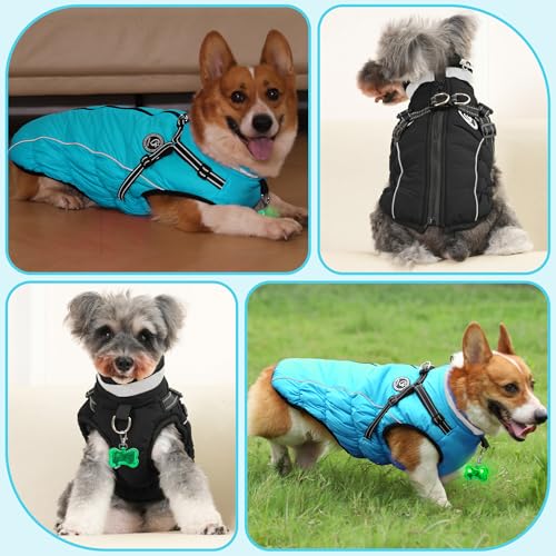 HezzLuv Hundemantel Winter, Hundemantel Wasserdicht, Warme Hundejacke mit Geschirr, Reflektierende Streifen, LED-Leuchtkragen, Winterjacken & Wintermäntel für Kleine, Mittelgroße Hunde