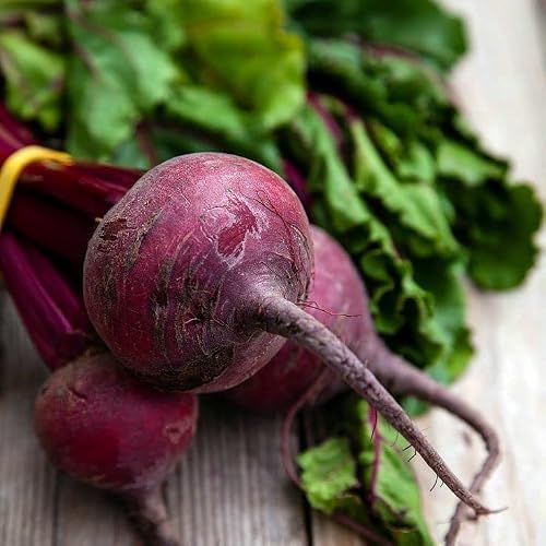 Raise Me Up: Seeds Detroit Dark Red Beet Round Beetroot Non Gmo Heirloom #TOP5