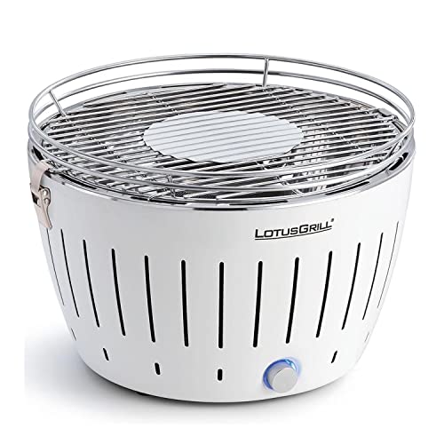 Las Mejores Barbacoas sin Humo