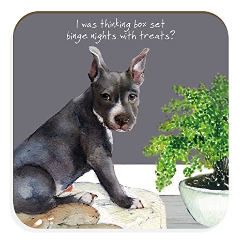 I was Thinking Box Set with Treats Blue Staffy Little Dog Laughed Untersetzer Geschenk CTR98