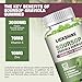 2 Pack Soursop Graviola Gummies - 3000mg Extra Strength Soursop Leaves Supplement with Vitamin C, Zinc - Digestive Aid, Immune Support & Antioxidant - Sugar-Free, Non-GMO, Vegan, 120 Counts