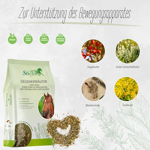 Foto von Stiefel Darmkräuter für Pferde, 100% naturbelassene Kräutermischung, kann zur Unterstützung des Magen-Darmtraktes beitragen, dauerhaft oder in gezielten Phasen, 1kg