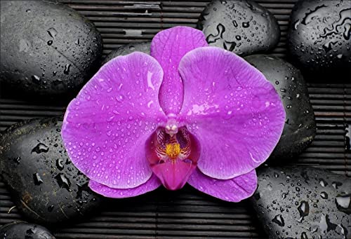 Stickers muraux déco Zen: Galets orchidée Dimensions 20x29cm