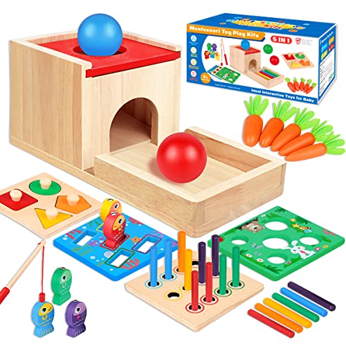 Montessori Toys for 1 2 3 Year Old, 5 in 1 Wooden Montessori Toys for Babies 6-12 Months, Toddler Toys Kit includes Object Permanence Box with Ball Drop Toy, Shape Sorter & Other Educational Toys