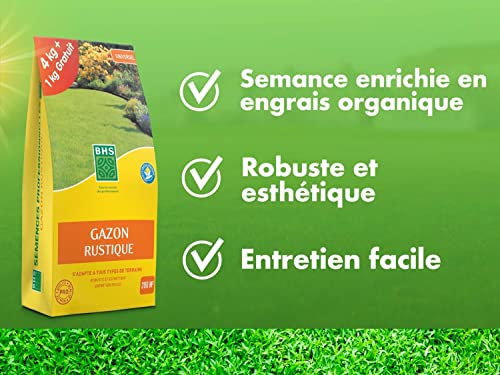Gazon rustique BHS pour un jardin familial résistant de 200m² - 3