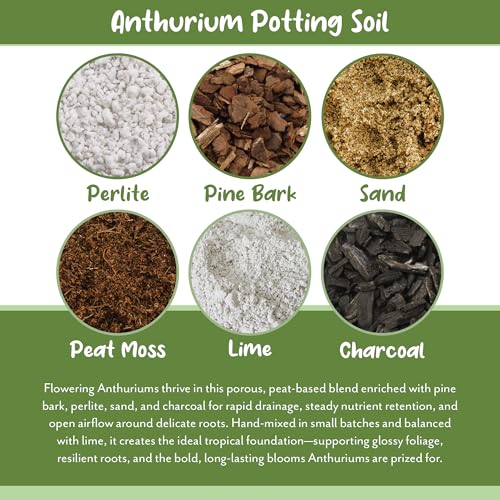 Soil Sunrise Anthurium Plant Potting Soil Mix (4 Quarts) Indoor Houseplant Custom Blend for Flowering Anthuriums