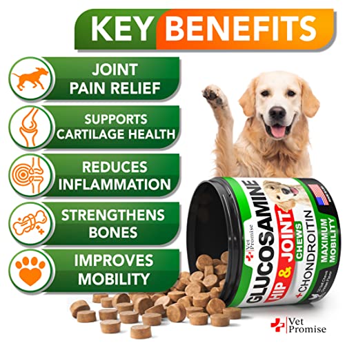 Glucosamine for Dogs - Hip and Joint Supplement for Dogs - Glucosamine Chondroitin for Dogs - Dog Joint Pain Relief - MSM - Hemp - Advanced Support Dog Joint Supplement Health - 120 Mobility Chews - Thumbnail 2