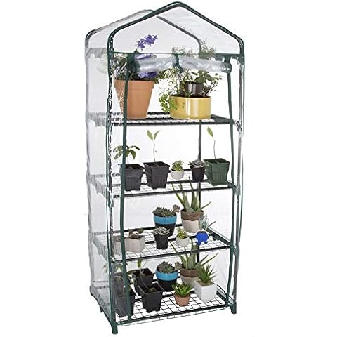 Taylor & Brown 4 Tier Greenhouse Compact Green House with 4 Shelves and Weatherproof PVC Plastic Cover Plant House/Grow House for Garden and Outdoor Roll up Zip Panel Door Easy No Tool Assembly Cover