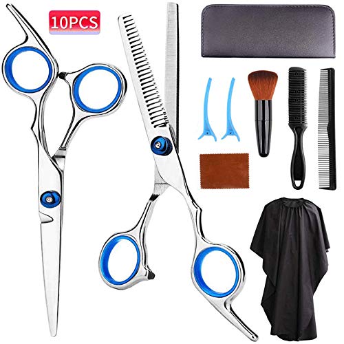 Hair Cutting Scissors Kit Professional 10 PCS Stainless Steel Haircut Shears Set with Straight Scissors,Thinning Scissors,Razon Comb,Clips,Cape,Brush for Men Women Adult Kids Pet for Home Barber Salon