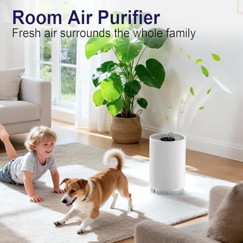 AIUZLK Air Purifiers for Bedroom Home with 3 Stage H13 HEPA Filter,22dB Quiet Desktop Small air Purifier with Night Light,3 Timing,Suitable for Smoke,Pet Dander,Hair,Odors.KJ80 - Image 4