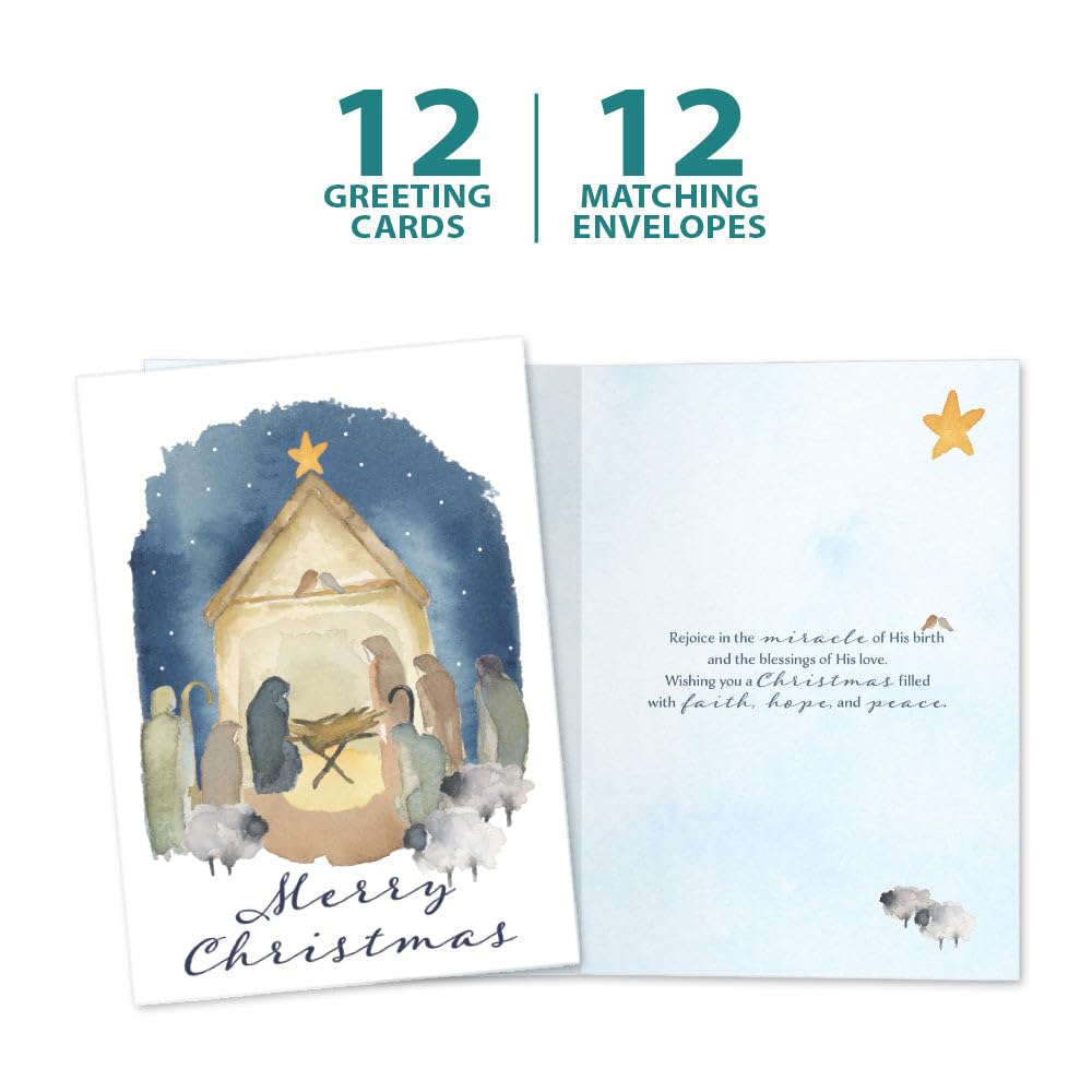 Tree-Free Greetings - Tarjetas de felicitación de temporada - Diseños artísticos - 12 tarjetas + sobres a juego - Fabricado en Estados Unidos - Papel 100% reciclado - 5 x 7 - Milagro de la Natividad