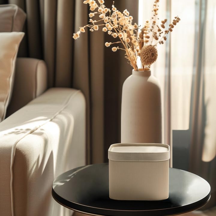 LA-JOLIE-MUSE-Fluted-Cardboard-Storage-Baskets-with-Leather-Like-Lids-Paper-Boxes-Decorative-Tray-Basket-Organizer-Bins-for-Jewelry-Shelve-Bathroom-Bedroom-Organizing-Beige-Set-of-2 LA JOLIE MUSE Fluted Cardboard Storage Baskets with Leather Like Lids Paper Boxes Decorative Tray Basket Organizer Bins for Jewelry Shelve Bathroom Bedroom Organizing Beige Set of 2