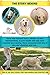 Pet Dreamland Trending Hands-Free Dog Leash for Large Dogs. Ultimate Comfort & Freedom. Premium Quality & Versatile Waist Leash Belt. Your Dog Will Absolutely Love This Amazing Leash (Khaki & Orange)