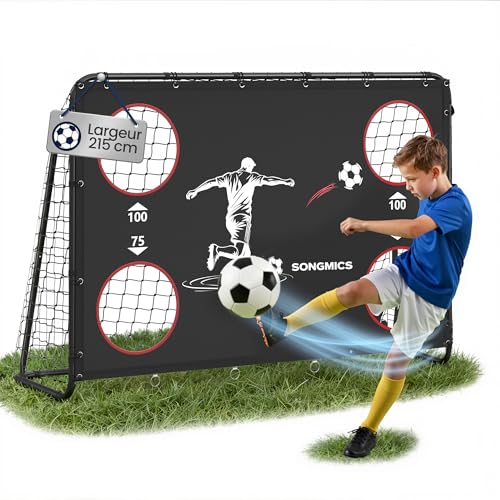 SONGMICS But de Football, avec Mur de Tir, pour Tous Les Âges, Tubes en Acier, Filet en PE,...