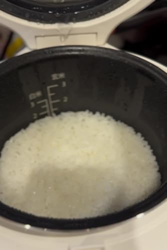 Amazon | 発芽玄米炊飯器 3合炊き ELM-102 | DELIFUL LIFE | 炊飯器 通販