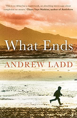 What Ends view 2