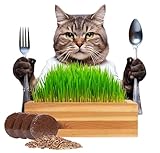 CALI KIWI PROS Cat Grass for Indoor Cats Kit – Organic & Handcrafted Cedar Planter with Fast-Growing Wheatgrass for Cats, Hairball Remedy with Pet-Friendly Planter (Natural)