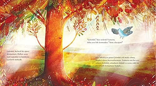 Çekirdek İle Yumurta - Görsel 6