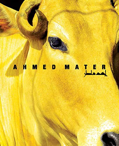 Ahmed Mater