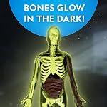 National Geographic Human Body Model for Kids - 32-Piece, 23 cm Glow-in-The-Dark Interactive Anatomy Model with Bones, Organs, Muscles, Stand, Forceps & ID Chart, Anatomy & Physiology Study Tools