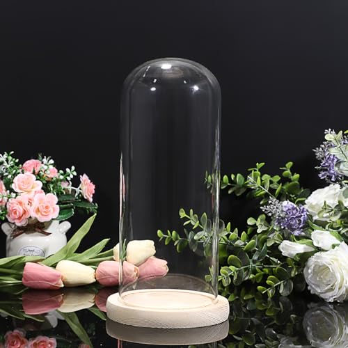 TOLIDA Cúpula de cristal con base de madera natural, placas de color marrón, 12,5 x 26 cm, robusta, decoración para rosas, aromaterapia, candelabro, cadena de luz, como regalo para esposa, boda, San