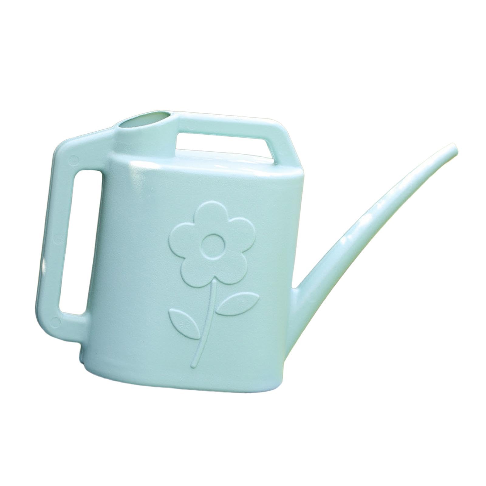 Arrosoir en PETG LOVIVER de 4L, pot à arrosage intérieur et extérieur à long bec vert