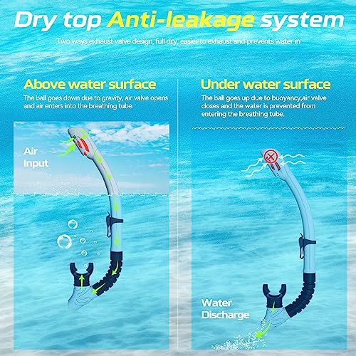Set de Snorkel para Miopía Nearsighted Dry Snorkel para Adultos y Jóvenes, Máscara de Buceo Anti-Vaho y Tubo Seco con Montura Desmontable para Cámara miniatura 4