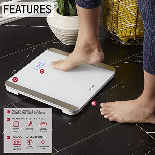 Image of Taylor Digital Bathroom Scale with Motion and Light Sensors - Glass Body Weight Scale, 12.2 x 12.2 in Stainless Steel Platform, Disappearing Blue Digit Display, Precision Tracking for Home Use