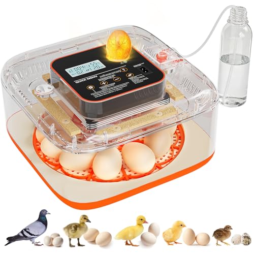 Incubators for Hatching Eggs Automatic Egg Incubator with Temperature Control Humidity Display 12 Egg Capacity for Chicken Duck Goose Eggs Digital Display Auto Turner 360° View (Orange Yellow)