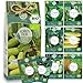 Produktbild Bio Gurken Samen Set  8 Sorten samenfeste, Freiland geeignete Bio Gurkensamen  mit extra viel Gurken Saatgut für deinen Balkon, Beet oder Garten. Snackgurken, Minigurken und Salatgurken Samen.