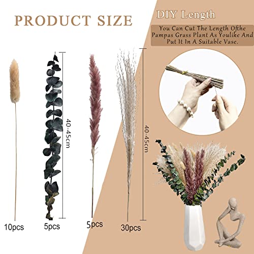 50 PCS Pampas Grass Dried Nature Dryflowers DIY Dry Flowers Bouquet,Pampas Grass Bouquet Reed Flower Decor Ideal for Boho Living Room Bedroom and Vases - Image 2