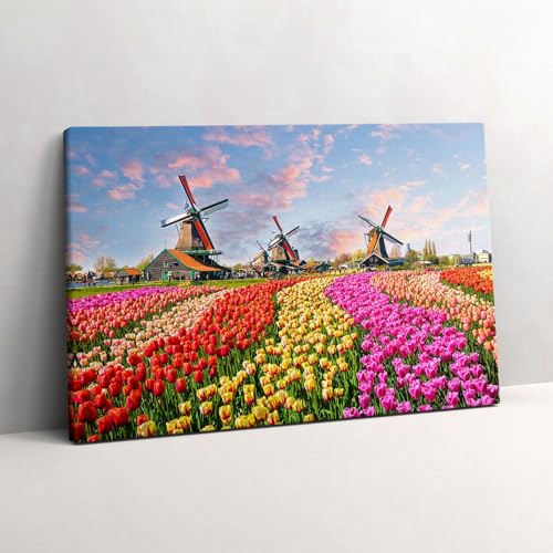 Tableau photo sur toile paysage tulipes Pays-Bas 60x40cm habillage mur vide
