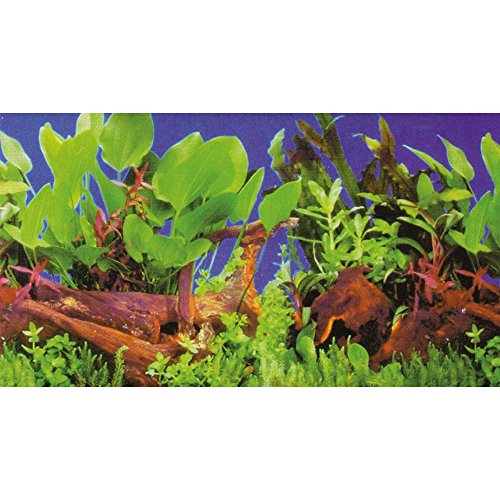 Dohse Aquaristik Rückwandfolie 120 Cm X 50 Cm Aquarien Rückwand Hintergrund Dekoration Poster
