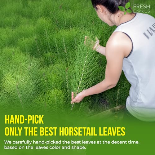 Image of FreshDrinkUS, Premium 15 Horsetail Leaf Tea Bags, 100% Natural & Pure from Horsetail Loose Leaves Herbal Tea. Made with Natural Material Tea Bags. No Sugar, No Caffeine, No Gluten, Vegan.