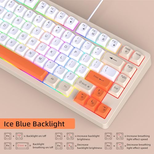 Teclado Mecánico Compacto Snpurdiri USB-A 75% miniatura 2