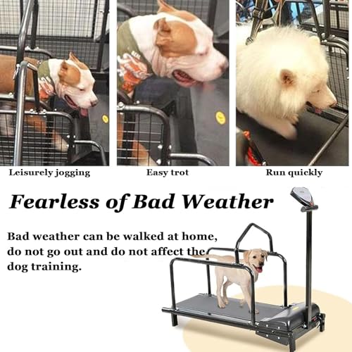 Hundelaufband FüR Kleine Hunde,Hundelaufband FüR Mittlere Hunde,200w Motor,Geschwindigkeitsbereich 0,8–6 Km/H,Mit Neigungsverstellung Und Anzeigebildschirm,TragfäHigkeit 80 Kg,C200