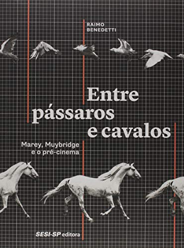 Entre Pássaros e Cavalos