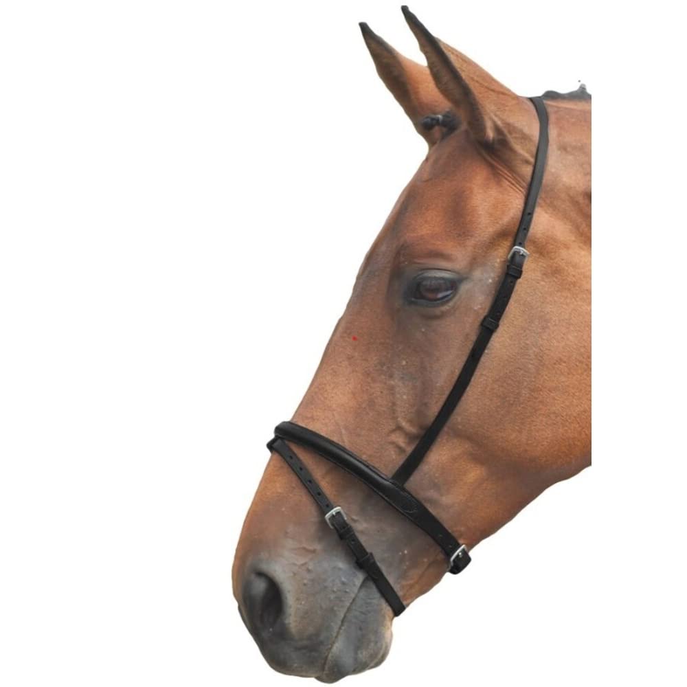 Shires Blenheim Flash Noseband-Black Full